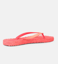 Lade das Bild in den Galerie-Viewer, Flip-flops Glitter in 2 coolen Neonfarben
