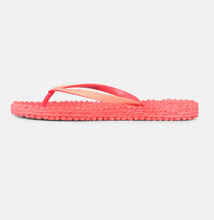 Lade das Bild in den Galerie-Viewer, Flip-flops Glitter in 2 coolen Neonfarben
